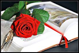 La rosa i el llibre del dia de Sant Jordi