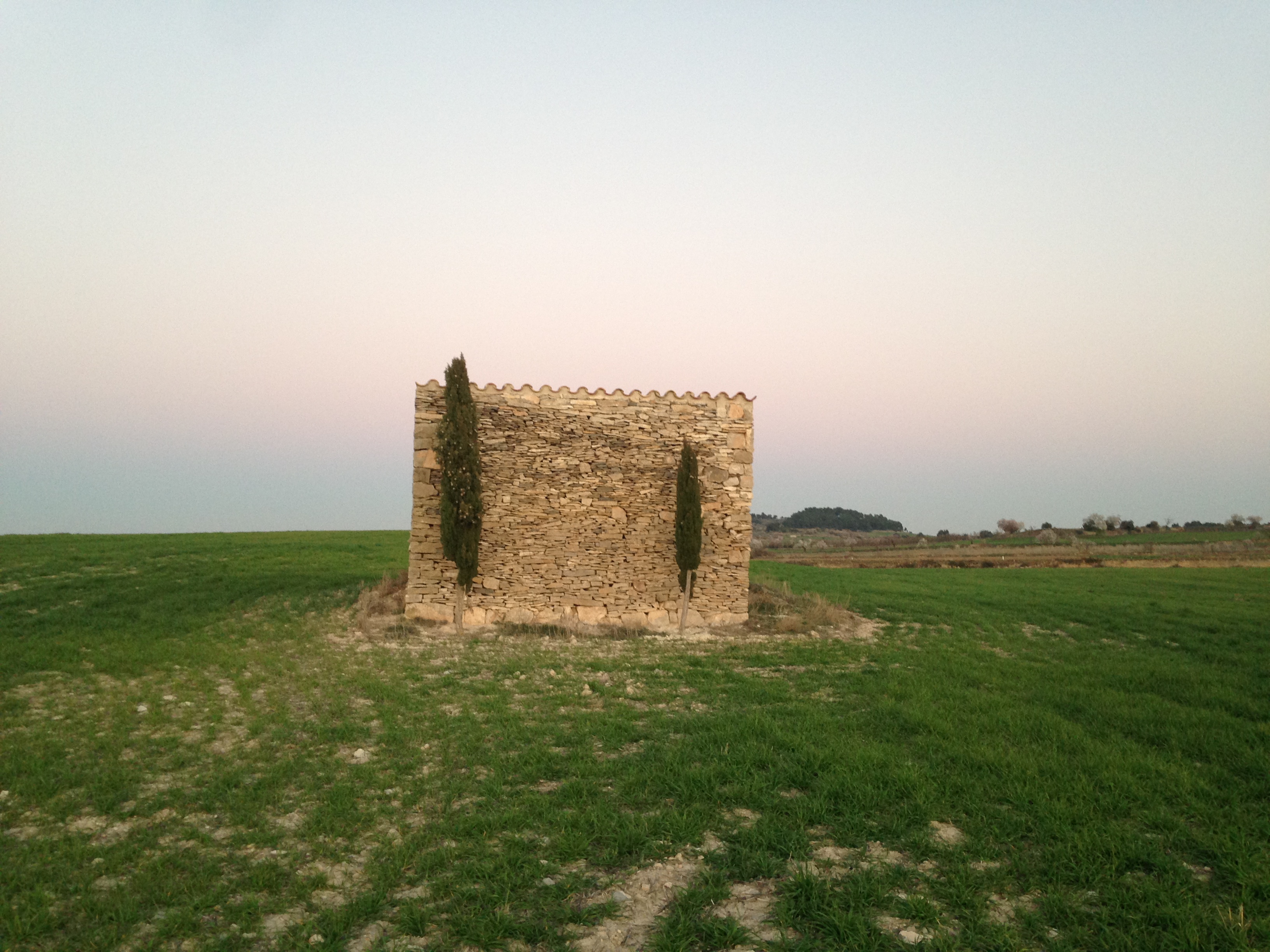 La cabana solitària, dos xiprers de guàrdia i un sembrat de blat incipient