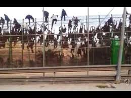 Asalto de inmigrantes en la verja de Melilla