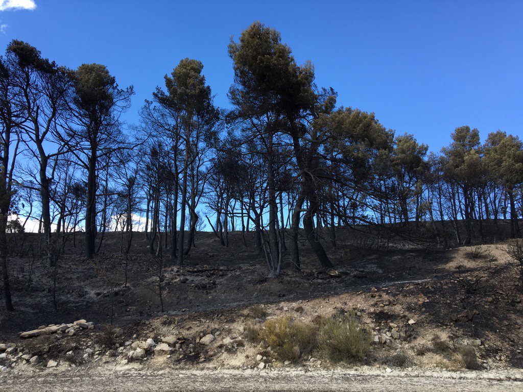 Paisatge després del devastador incendi