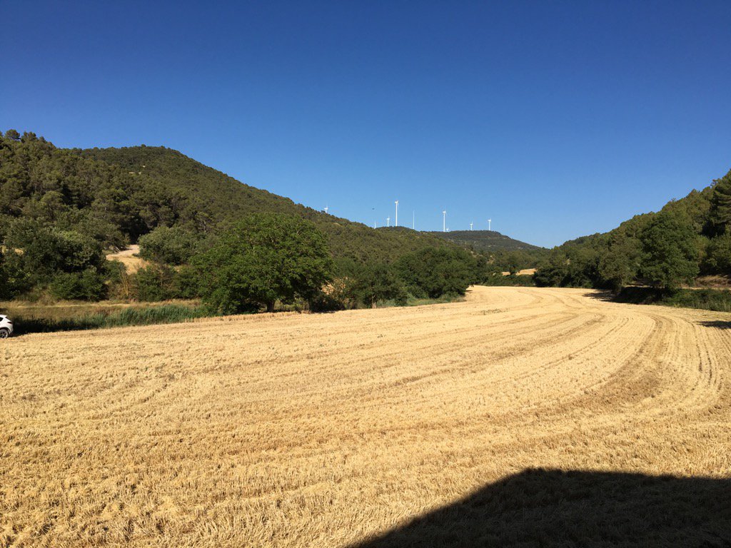 a solitud d'un rostoll davant la casa pairal de Saladern, el dia de la Festa Major. Una sola casa i molts veïns i coneguts a les celebracions de la tarda. 