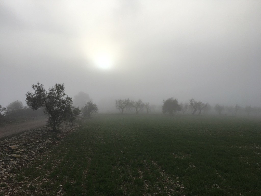 El misteri de la boira ens agara sempre desprevinguts