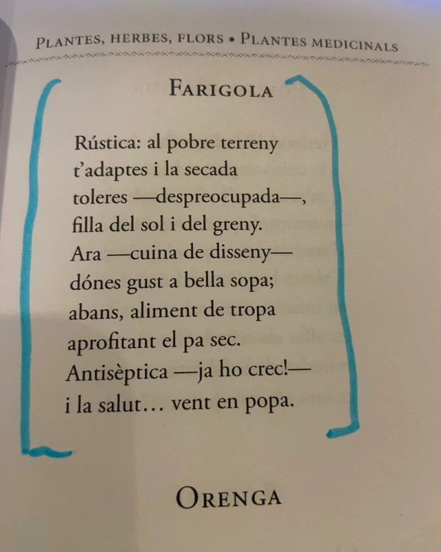Farigola.

Bonic poema de Carles Riera. Lingüista i prevere. Doctor en filologia catalana i llicenciat en farmàcia.
Persona culta i llegida. Conversador afable. Escolta més que parla.

La farigola, timó, timonet, tomell o Thymus vulgaris és un subarbust de la família de les labiades. S'anomena «farigola» en part del català oriental, del llatí vulgar ferricula, mentre que en català occidental i comarques limítrofes de l'oriental s'anomena «timó», del llatí culte thymus.

(Vikipèdia)