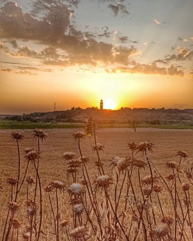 Posta de sol a sant Martí de Malda, el dia més llarg de l'any. Un rostoll a primer pla i la llum crepuscular que il·lumina la silueta del campanar més emblemàtic de la Vall del Corb. Dia tòrrid i xafogós. 

Consulto la Vikipèdia que diu que "El contracte per construir aquesta obra es va signar davant del notari de Bellpuig, Josep Gili, l'any 1848. S'hi especificava que l'obra seria feta pels mestres de cases de Bellpuig, Josep i Bonaventura Palau, responsables de la última reforma en estil neoclàssic. El campanar data de 1868. Curiosament, s'acabà el mateix any que el de Rocafort de Vallbona. Fou l'any de la Revolució Gloriosa i la fugida de la reina Isabel II, borbònica, que perdé el tron i morí a l'exili.

El campanar ressalta per la seva exagerada verticalitat en proporció a les mesures de l'església. Aquest campanar marca clarament la personalitat del perfil del poble deixant-se veure perfectament des de pobles veïns. És un campanar de planta vuitavada de costats escairats compost per trams superposats. El primer tram és llis i sense cap mena de decoració només s'hi percep una estereotomia molt regular. El segon tram és compost per finestrals allargassats en arcs de mig punt emmarcats per pilastres adossades. Aquestes obertures es troben a cada costat lateral del campanar. A la part superior hi ha una mena de llanternó amb una balustrada. Aquest llanternó es troba estructurat amb arcs de mig punt a cada costat dividits per columnes adossades que es transformen en la seva part baixa en principis de volutes i tot coronat per una falsa cúpula.

La portalada barroca és una peça excepcional.

(Fotografia Isabel Martínez)
