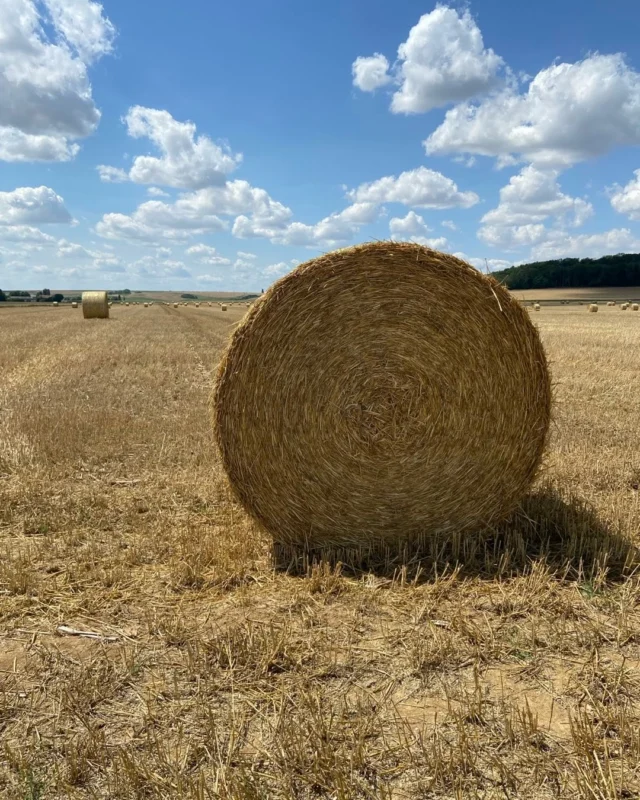 Rostolls tendres a la Picardia, al  nord de París. Bales rodones arreu. Grans extensions de cereal. Pocs pagesos i micropobles de gent benestant que ha fugit del centre de la capital. Dies tòrrids amb alguna gotellada intermitent. Grans tractors i màquines recollidores. La França rural és lloc agradable per viure.